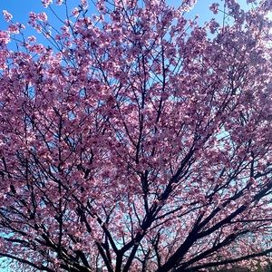 Meet your Posher, Eden